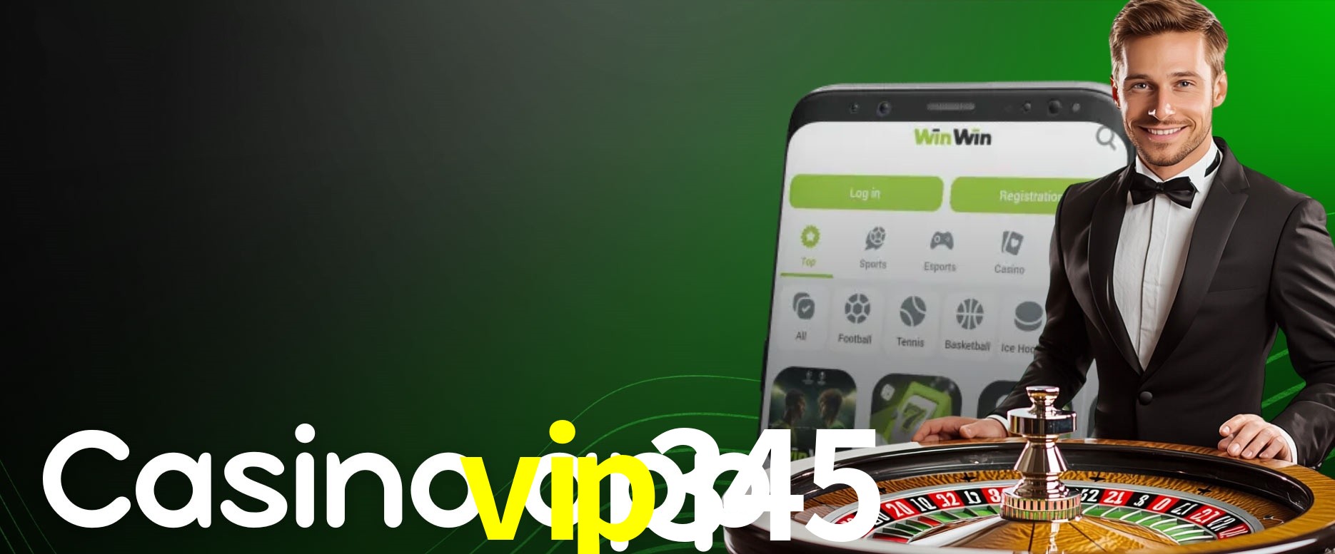 API Integration vip345
